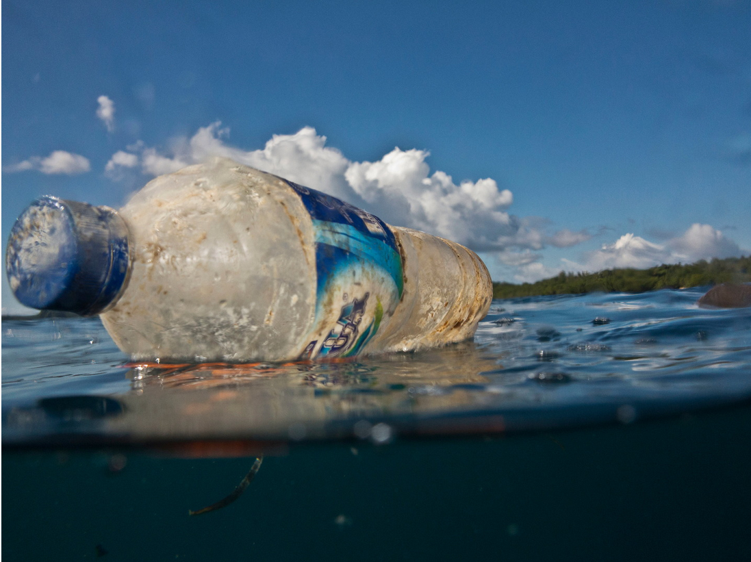 Výsledok vyhľadávania obrázkov pre dopyt plastová fľaša v prírode