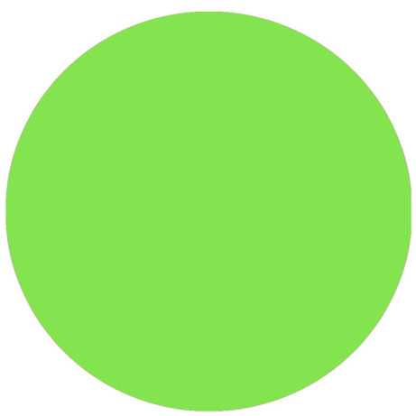 dots-light-green-12-inch
